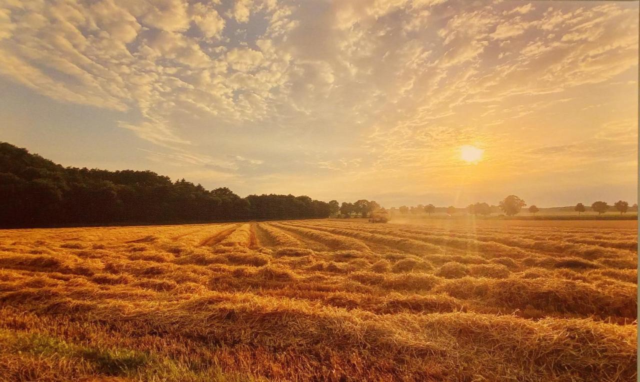 Ferienwohnungen Im Dorfe Neu ab April 2022 Soltau Exterior foto